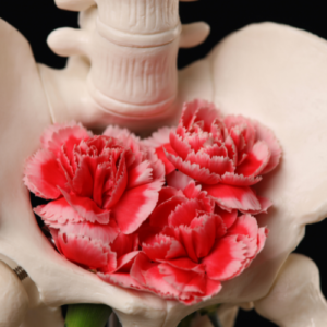 قیمت فیلر بیکینی درتهران