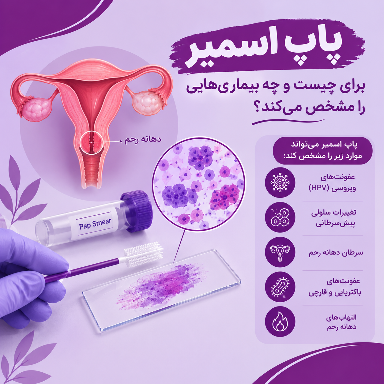 پاپ اسمیر برای چیست